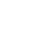 Bag Icon